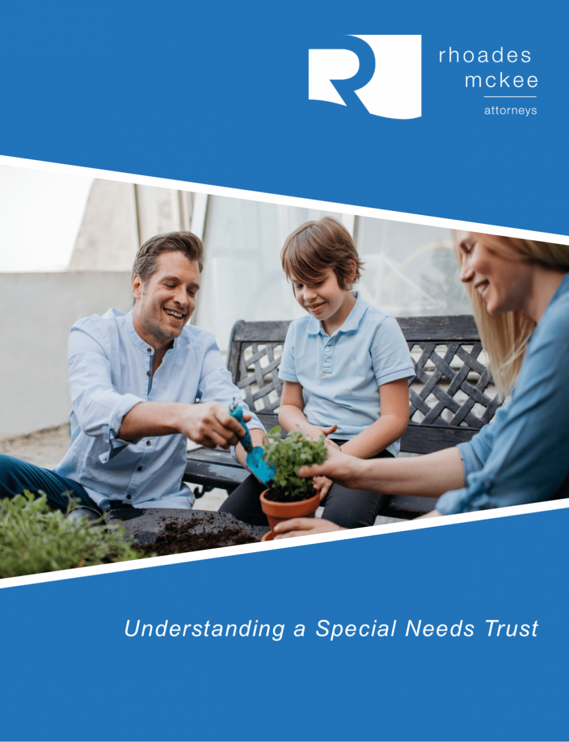 Administering A Special Needs Trust Rhoades McKee